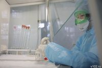 Волгоградских туристов предупредили о желтой лихорадке с кровью из глаз