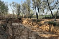 Прокуратура уличила волгоградца в создании потаённого пруда в заповеднике