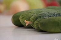 Цены на огурцы в волгоградских супермаркетах  проверит ФАС