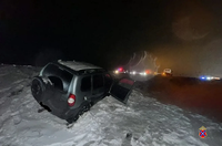 Трое детей и двое взрослых пострадали на трассе под Волгоградом