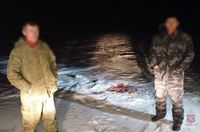 Браконьеры застрелили трех сайгаков в Волгоградской области