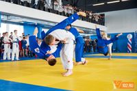 Дом борьбы «Динамо» в Волгограде получает вторую жизнь