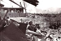 «Сначала никто не надеялся на чудо»: поисковый отряд прокуратуры вернул имя погибшему защитнику Сталинграда