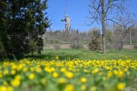 Московские метеорологи пообещали волгоградцам рекордно жаркую за 30 лет весну