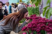 16 тысяч волгоградцев посетили выставку первоцветов в ботсаду