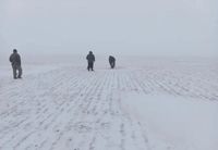 Цены на дизель перед посевной взяли на контроль в Волгоградской области