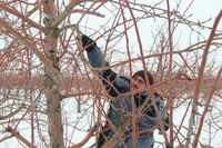 Самый большой в России индустриальный сад готовится к сезону-2026