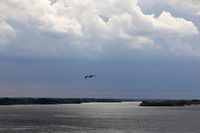 Действовавший более трех часов режим беспилотной опасности отменили в Волгоградской области