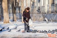 В Волгоградской области в первый день весны потеплеет до +6 градусов