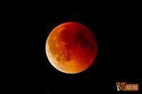 Кровавую Луну увидят волгоградцы 3 марта
