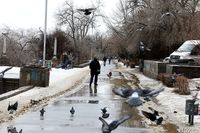 Минтруд напомнил волгоградцам о короткой рабочей неделе в марте