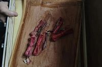 Волгоградцу грозит 8 лет за найденные при покупке дома детонаторы