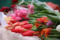 Волгоградцев предупредили о фейковых цветочных онлайн-магазинах