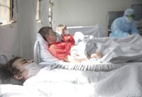 Волгоградских туристов предупредили о распространяемой комарами смертельной лихорадке денге