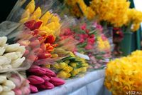 Где купить цветы к 8 Марта в Волгограде: список адресов