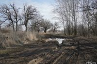 «Одновременно и в большом количестве»: в Волгоградской области клещи проснутся раньше обычного – уже в марте