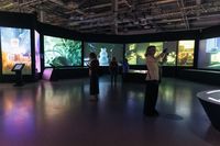 В Волгограде открылась крупнейшая выставка цифрового искусства