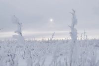 В Волгоградской области в феврале искали 23 пропавших жителей