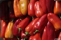 Волгоградцы могут остаться без сладкого перца из-за атак на Иран