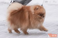 Мокрый снег и гололедицу в Волгоградской области обещают синоптики на новой неделе