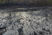 Более 167 млн рублей взыщут за аварию на нефтепроводе в Волгоградской области