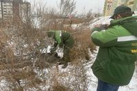 В Волгограде с владельца частного коллектора взыскали ущерб за утечку стоков