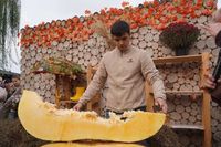 Три «вкусных» и «урожайных» праздника устроят для волгоградцев в 2026 году