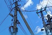 В Волгоградской области 120 опор ЛЭП обволокли незаконные сети