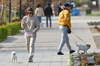 «Одни собирают в пакетик. Другие делают вид, что ничего не происходит»: грозит ли наказание горожанам, не убирающим «кучки» за собаками