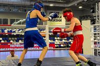 Юные боксёры Волгоградской области взяли 11 медалей на первенстве ЮФО