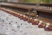 В Волгограде остановлено движение трамваев №13