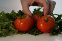 Овощи дорожают в Волгоградской области: помидоры в лидерах