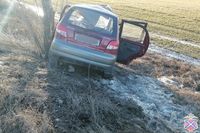 Под Волгоградом водитель погиб, наехав на дерево