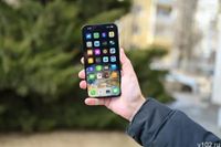 Волгоградцы оформляют самозапрет на сделки с жильем