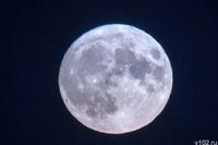 Розовую луну увидят волгоградцы 2 апреля