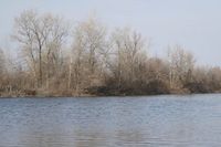 Труп пропавшей в феврале камышанки нашли на берегу Волги без части руки