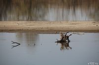 В Волгоградской области поднялся уровень воды на Дону