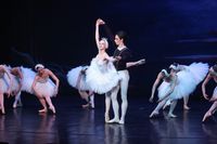 В «Царицынской опере» исполнят «Лебединое озеро» в честь юбилея Татьяны Ерохиной