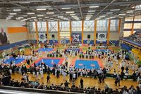 Волгоградские тхэквондисты – третьи на первенстве ЮФО