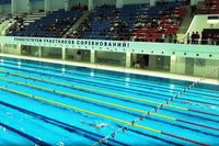 Триумф волгоградских пловцов: яркие победы на чемпионате ЮФО и СКФО