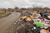 «Мы – гости у отъевшихся крыс»: мусорные завалы поглощают частный сектор на севере Волгограда