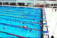 Чемпионат ЮФО и СКФО: волгоградцы взяли 10 наград в плавании