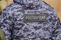 Волгоградцев научат самообороне и покажут боевые приемы спецназа
