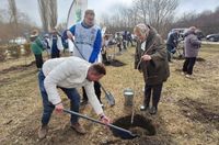 Под Волгоградом высадили клон легендарного Тополя Победы