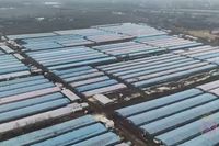 БПЛА помогли отыскать нелегалов в лабиринте телиц под Волгоградом