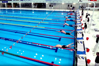 40 медалей и первое место: успех волгоградских пловцов в Краснодаре