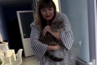 Бездомышам из Волгоградской области нашли хозяев в Санкт-Петербурге