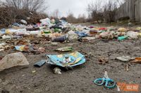 В Волгограде коммунальщикам дали месяц на уборку мусорных «подснежников»