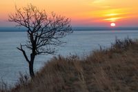 «Весело бегают по еще пустым степям»: в Волгоградской области заметили вернувшихся с зимовки жаворонков