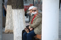 Расписание дачных автобусов в Волжском весной-летом 2026 года